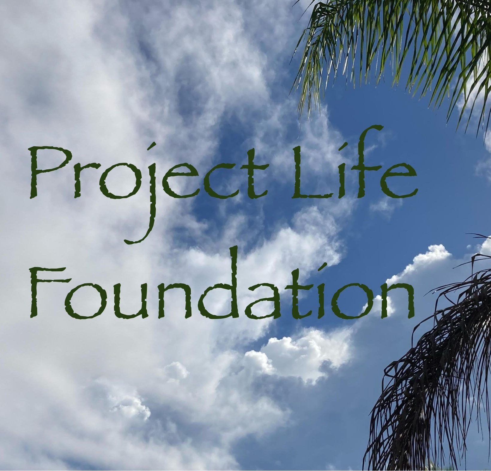 chairity organization donating to the needy